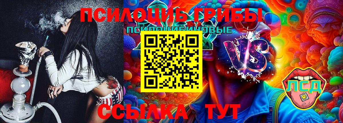 Галлюциногенные грибы Cubensis Тверь