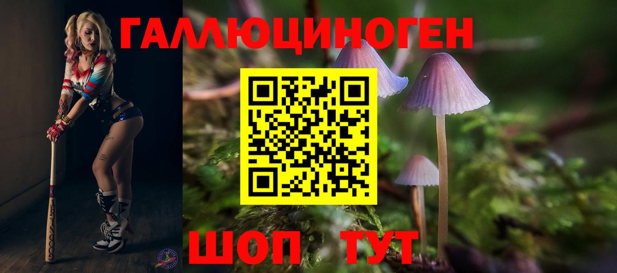 Тверь  Галлюциногенные грибы Psilocybine cubensis  цена наркотик  Вход с VPN 